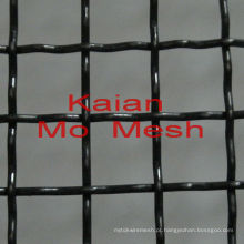 Black and White Molybdenum Mesh ----- Anping país Molibdênio malha fábrica fornecedor